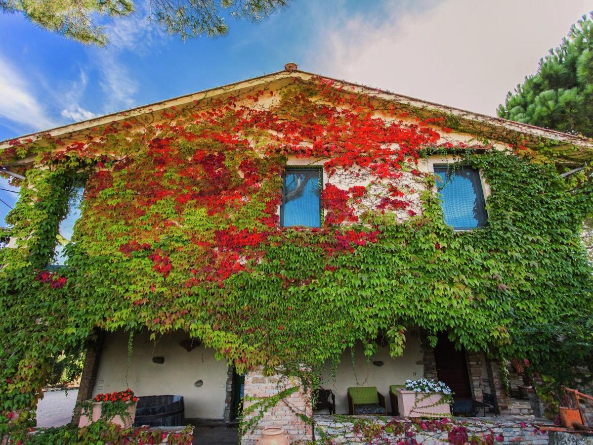 Farmhouse In Marsciano With Vineyards Olive Groves Экстерьер фото