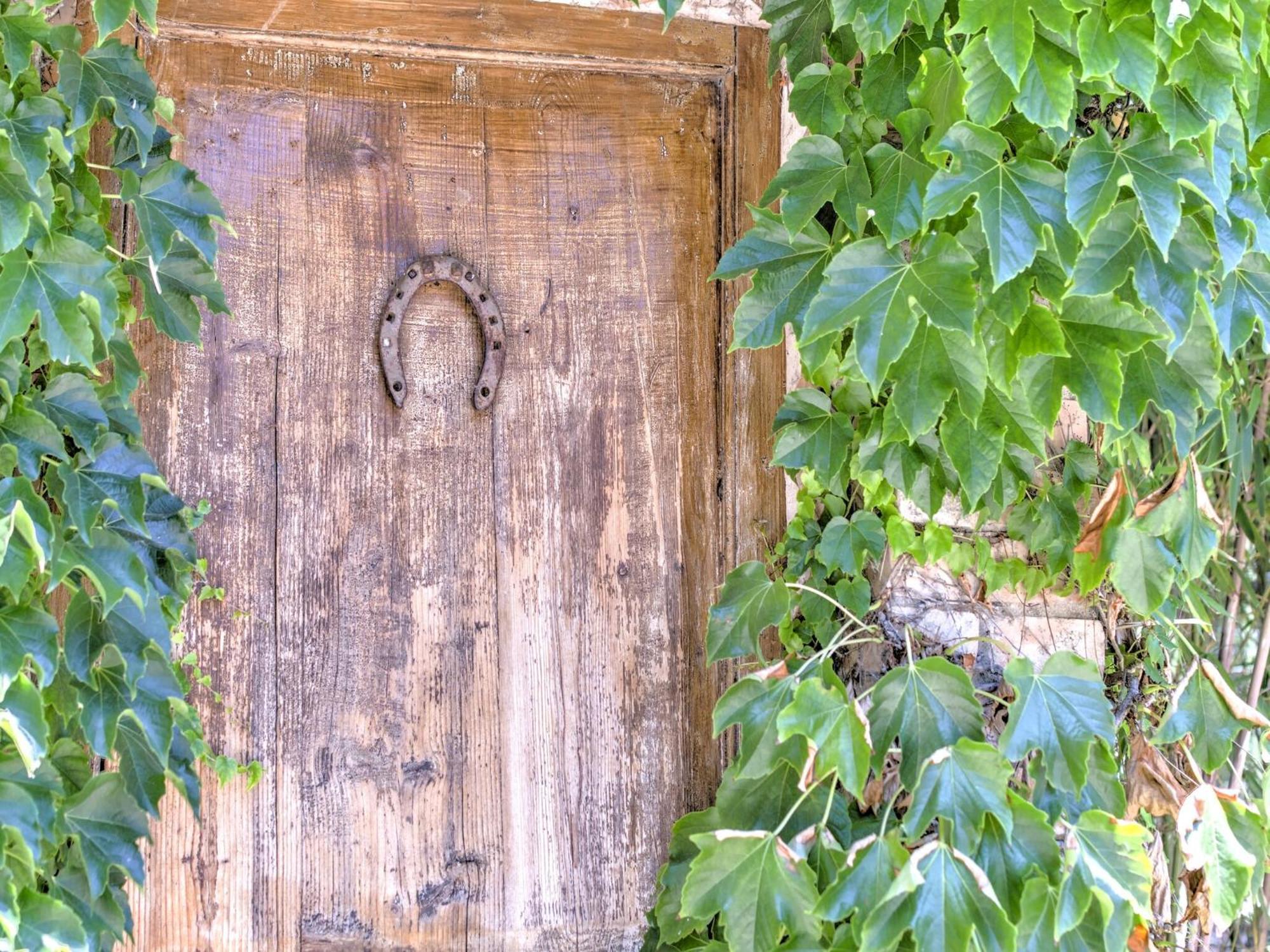 Farmhouse In Marsciano With Vineyards Olive Groves Экстерьер фото